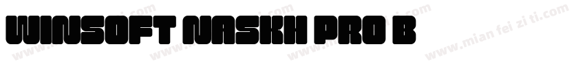 WinSoft Naskh Pro B字体转换